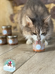 Photo n°16 de Boule de poils à Treffendel (Toiletteur)