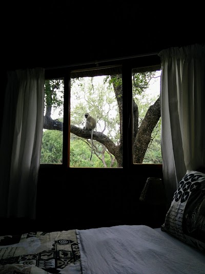 Photos of Baluleni Safari Lodge (Pty) Ltd