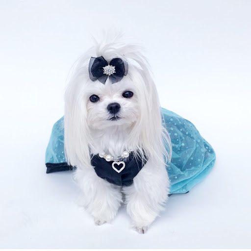 Ruff Stitched - Visual