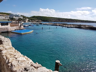 Photos of Dolphin Academy Curacao