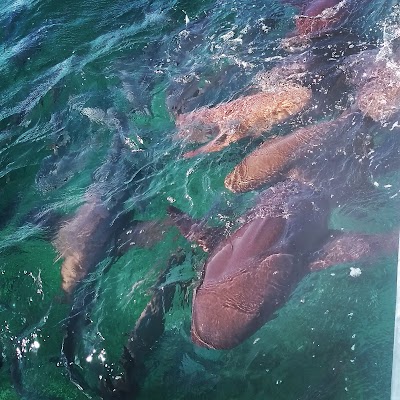 Photos of Blue Bonefish Lodge