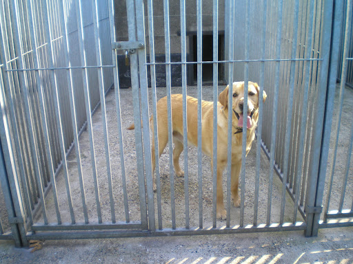 Klein Mezenberg Dierenpension - Thumbnail