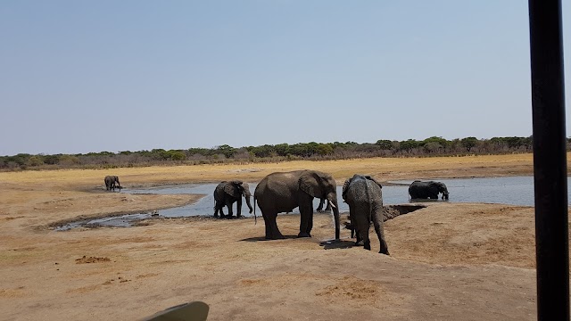 The Hide Lodge