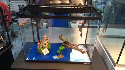 Photos of Mor Group / Aquamundo