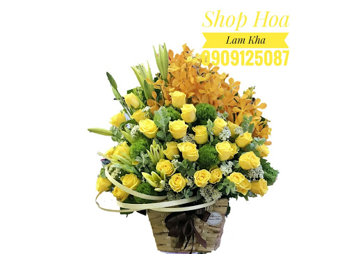 Shop