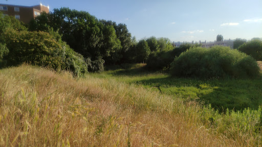 Panke Park - Visual