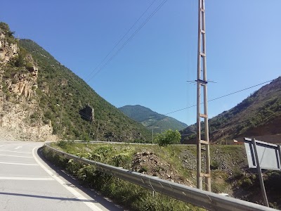 Photos of Spider Forest and Nature Conservation Areas