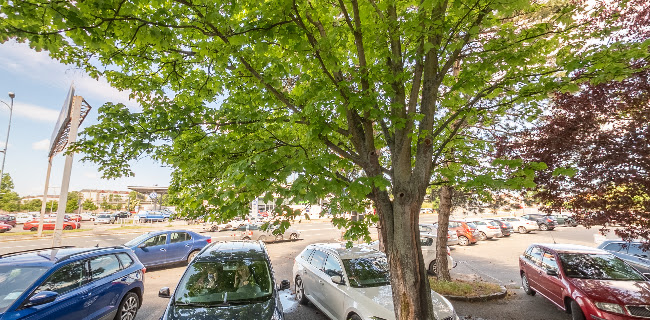 Opinii despre REHA CENTRUM în Hradec Králové - Fyzioterapeut