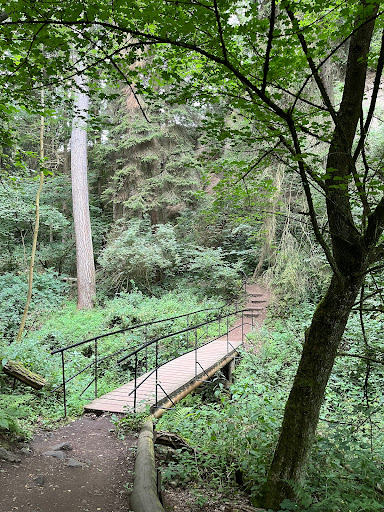Wolfsschlucht (Ende) - Thumbnail