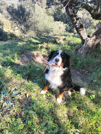 Dr. Nina Buschmann / Cita previa