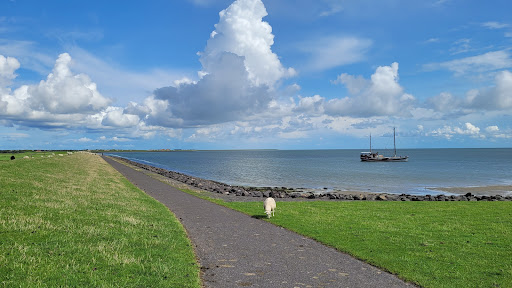 Uitzichtpunt West-Terschelling/ Beelden Park