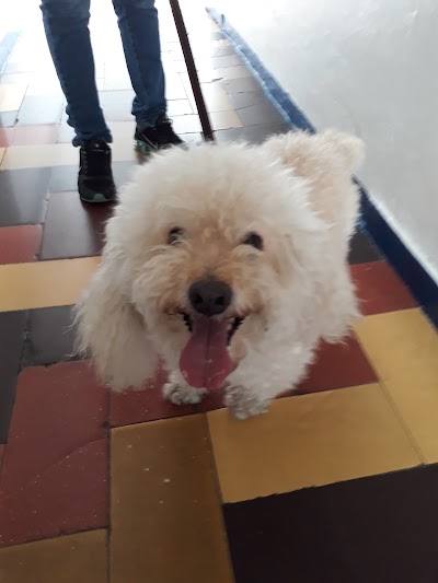 Photos of Centro Veterinario Buenos Aires