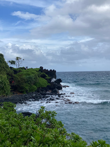Coast path - Visual