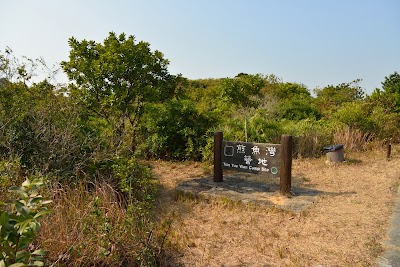 Photos of Tsin Yue Wan Camp Site