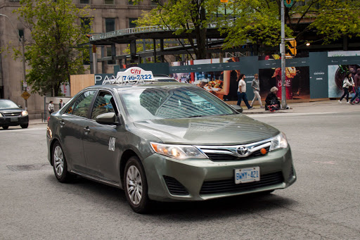 Toronto Business Licensing & Regulatory Services - Thumbnail