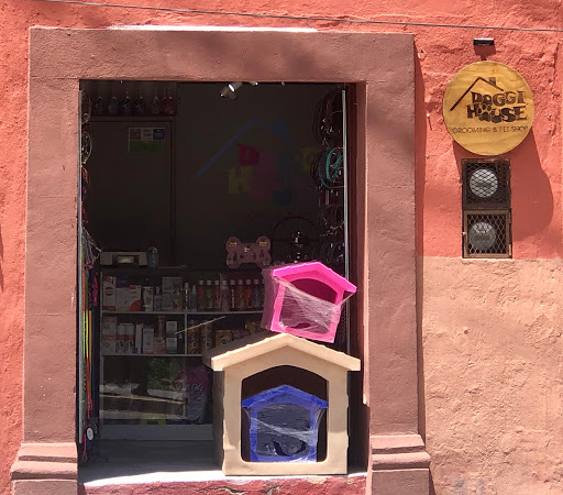Doggi House San Miguel