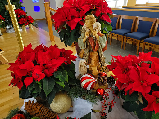 Saint Thomas More Catholic Church - Thumbnail