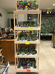Photo n°10 de Graineterie à Loches (Animalerie)