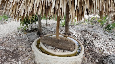 Photos of Cenote Actunsot