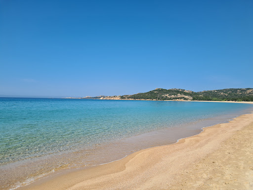 Table de la Plage - Thumbnail