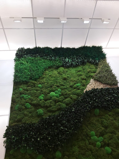 Cotel - Visual