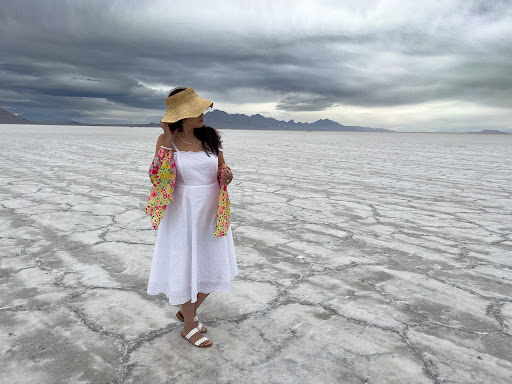 Salt Flats Rest Area Westbound - Thumbnail
