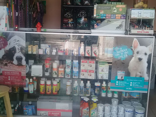 Pets Clean - Visual