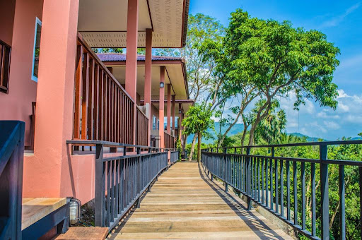 PawPaw Resort