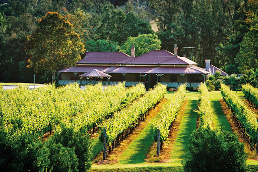 O'Reilly's Canungra Valley Vineyards