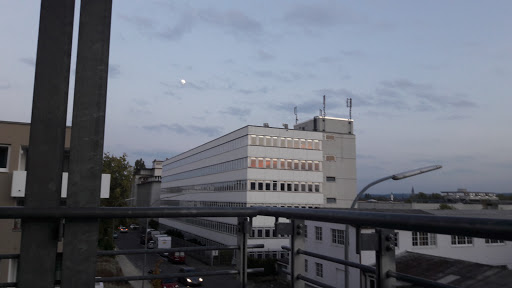GARANT - Thumbnail