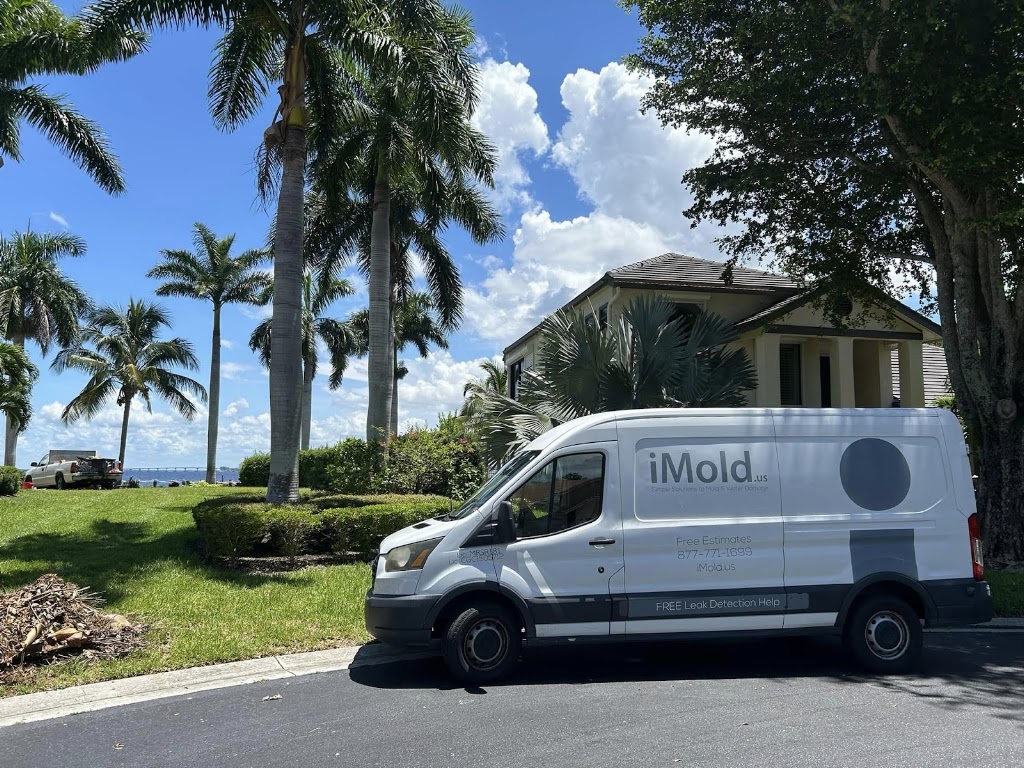 iMold Cleaning and Restoration - Water Damage and Mold Removal Specialists photo