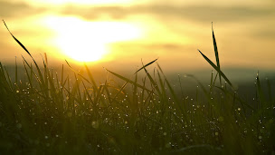 Photo n°2 de Estigarde Pieces Auto EPA à Estigarde (Grossiste)