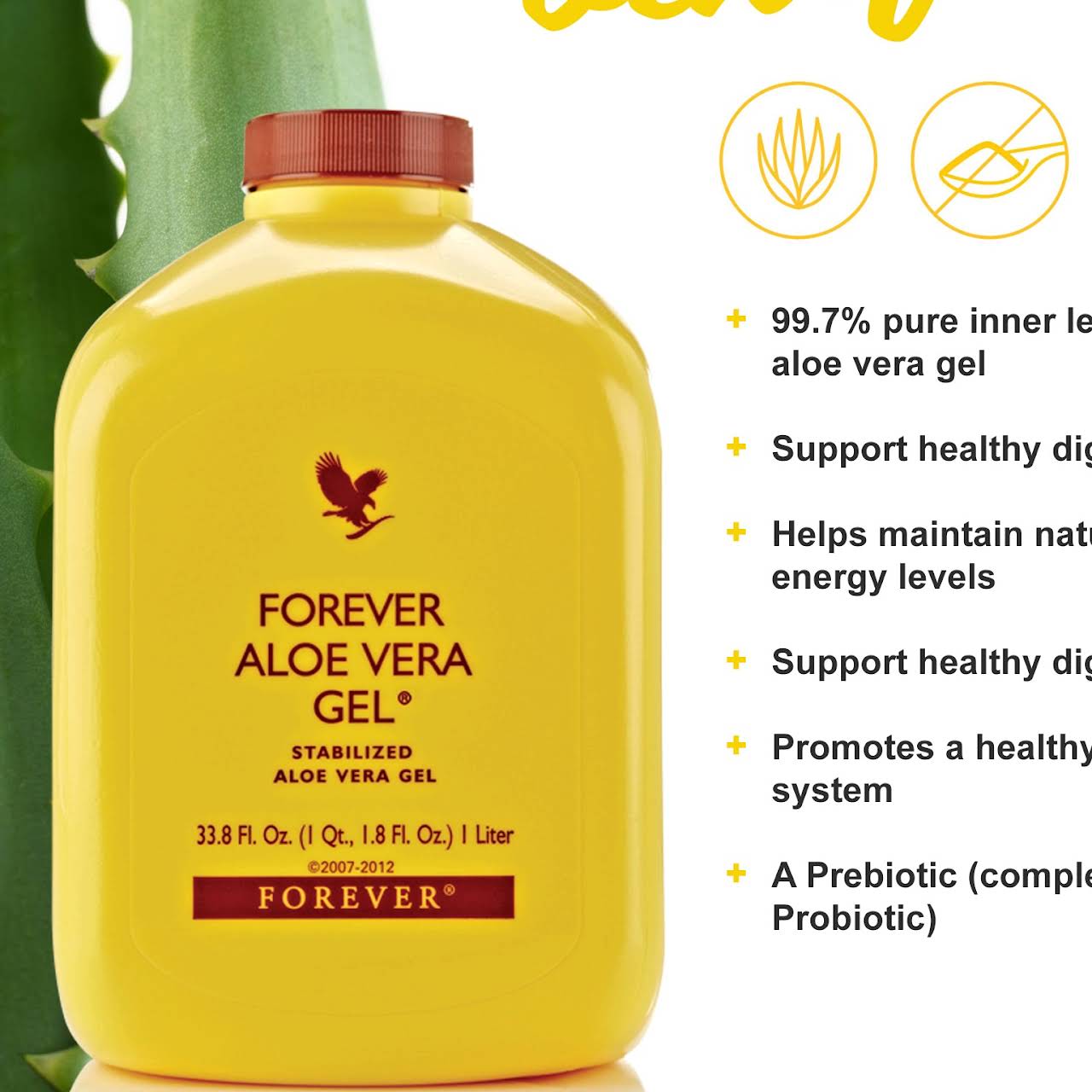 mammal Hong Kong Udtømning Forever Living aloe Vera products (Forever business Owner) - Wellness Center