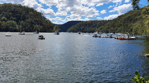 Berowra Waters Rd opp Warrina St