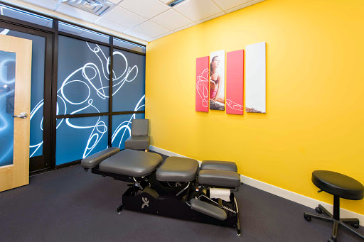 Orthology - Woodbury Gallery - United States