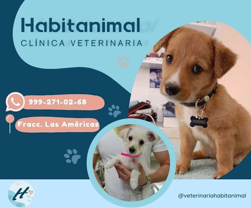 Habitanimal