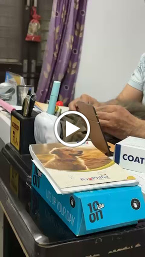The lovely kitten's General Check up and vaccination and pet Parenting Tips post image