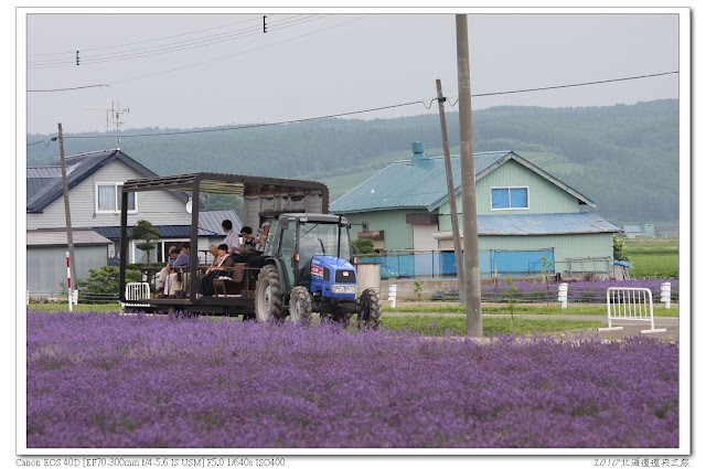 Farm Tomita