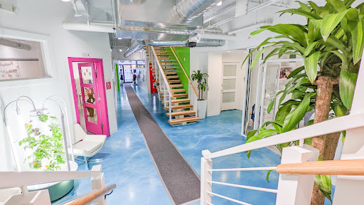 Tessa International School - Thumbnail