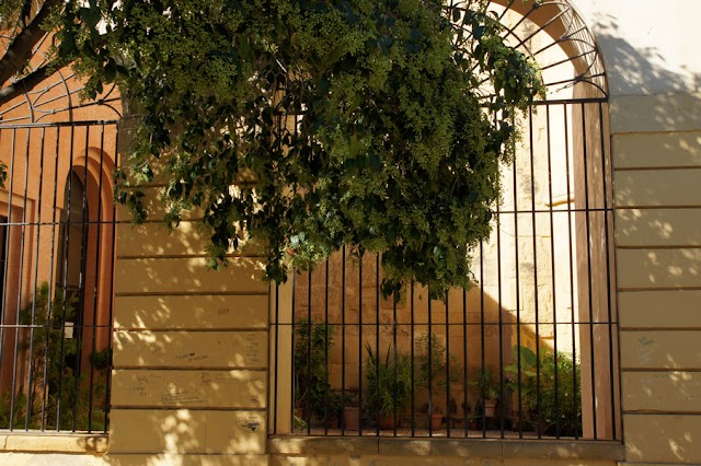 San Pedro