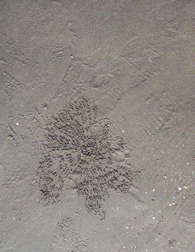 Photos of Maszid Pukur