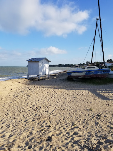 Noirmoutier-en-l'Île - Route du Vieil - Thumbnail