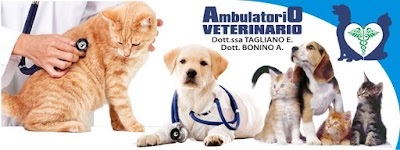 Ambulatorio Veterinario Dott.Bonino - Dott.ssa Tagliano