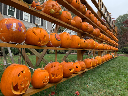 Great Elizabeth Pumpkin Wall