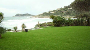 Photo n°20 de Gazon synthetique Green Grass à Six-Fours-les-Plages (Fournisseur de gazon)
