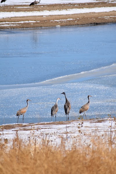 Maxwell National Wildlife Refuge