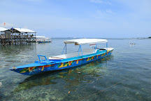 San Vicente Marine Sanctuary, Lapu Lapu, Philippines