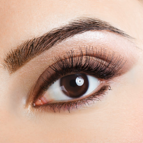 Eyebrow Studio - Visual