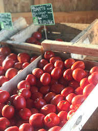 Photo n°15 de Les Champs Bio à Saint-Laurent-Médoc (Magasin de produits de la ferme)