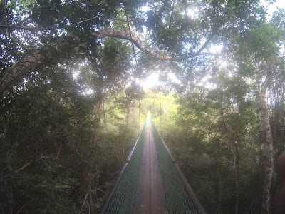 Photos of Ixpanpajul Natural Park